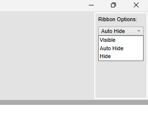 Ribbon Options.png